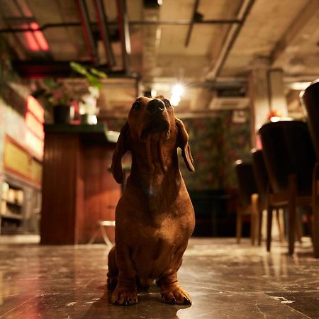 Dave Gordon, A Member Of Brown Hotels Тель-Авив Экстерьер фото